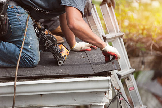 Best Roof Gutter Cleaning  in Edgard, LA